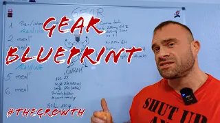 #TheGrowth - gear blueprint