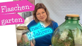 DIY Flaschengarten - 2 Jahre später | ewiges Terrarium | Florarium | Hermetosphäre | mommymade