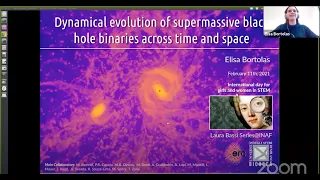 Laura Bassi Series - Dynamical evolution of supermassive black hole binaries across time and space