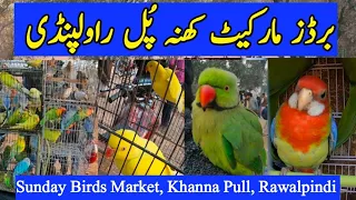 Sunday Birds Market Khanna Pull Rawalpindi | Rawalpindi birds market | @RawalpindiPets