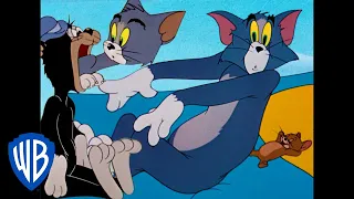 Tom et Jerry en Français | L'heure de jouer | WB Kids