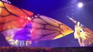 "Así Es La Vida" Cirque du Soleil's "Luzia" Live Toronto 08.26.16