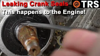 Main Crank Seals causes this 2-Stroke BOG DOWN symptom!