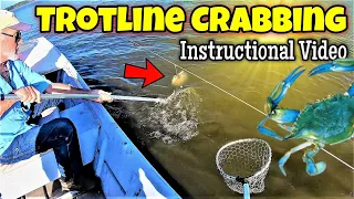 Trotline Crabbing How To Video! Everything You Need to Know