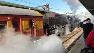 6029 Garratt Steam Train