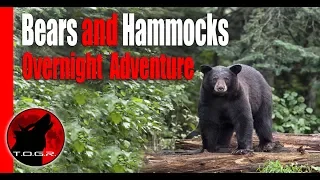 Hammocking in Bear Country - Backpacking Adventure