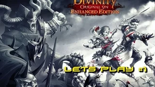 Divinity: Original Sin Enhanced Edition Lets Play #1 & Game Discussion