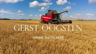 Gerst oogsten | Massey Ferguson Activa 7345S | 2022