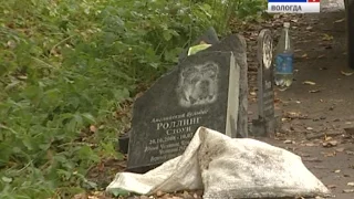 Кладбище домашних животных ликвидировали в Вологде