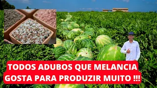 ESSES ADUBOS SUA MELANCIA VAI PRODUZIR MUITO - Prof. Caio Santos