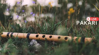 Pakari - Good vibes Native music
