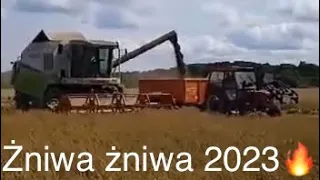 Żniwa żniwa 2023🔥🔥