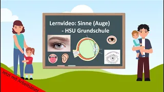 Lernvideo: Sinne - Auge 👁️ - HSU Grundschule