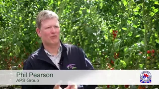 Phil Pearson Red Tractor tomato grower