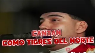 CAMELIA LA TEJANA no son los tigres del norte.