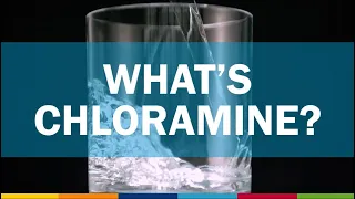 Chloramine in Drinking Water
