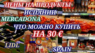 Цены на продукты в Испании/Lidl Mercadona /Что можно купить на 30 €