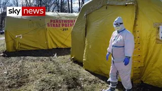 COVID-19 'much, much worse than Ebola'