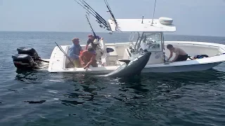 Amazing Big Tuna Fishing Skill On The Sea , Extreme Saltwater Fishing