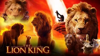 The Lion King Full Movie In Hindi Facts | Jon Favreau | Shahrukh Khan