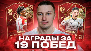 СДЕЛАЛ 19 ПОБЕД В WL | ОТКРЫЛ НАГРАДЫ | FC 24 PS 5