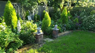 back garden in mid-May- what's flowering