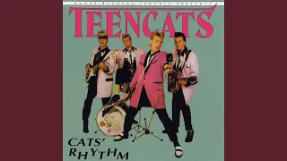 Cats' Rhythm