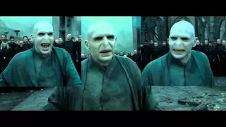 Voldemort Sparta Remix