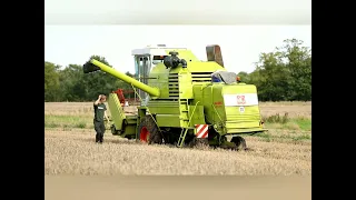 Very wet Harvest 2023 with a Claas Mercator