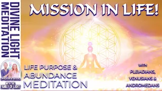 LIFE PURPOSE & ABUNDANCE MEDITATION ~ PLEIADIANS - VENUSIANS - ANDROMEDANS ~ MISSION IN LIFE