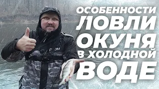 Особенности ловли окуня в холодной воде