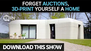 Forget auctions, 3D-print yourself a home | Download This Show