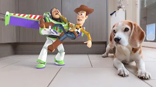 Dogs vs Toy Story's Buzz in Real Life Animation.