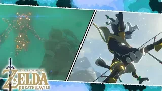 DLC2 Illusory Realm Boss - Windblight Ganon | The Legend of Zelda: Breath of the Wild