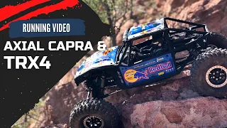 Axial Capra | TRX4 | Running Video || SKC HOBBIES