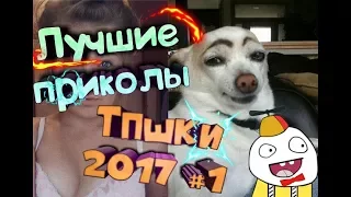 ЛУЧШИЕ ПРИКОЛЫ ЗА ИЮНЬ 2017!!! ТПШКИ #1!!! BEST JOKES 2017!!! COUB!!!