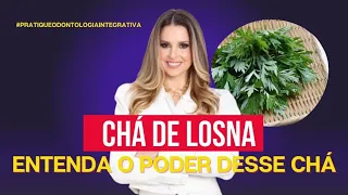 Chá de Losna