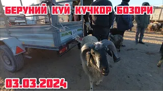 БЕРУНИЙ КУЙ КУЧКОР БОЗОРИ 03.03.2024