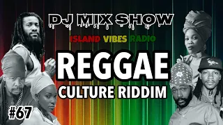#67. Reggae Culture Riddim Mix / Lutan Fyah, Nature Ellis, Junior Kelly, Turbulence & More