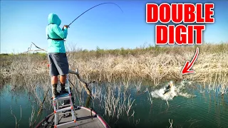 IMPOSSIBLE Giant Catch Sight Fishing from a Ladder! (Bass Fishing)