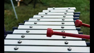 Percussion Instruments, The Xylophone Relaxing Music