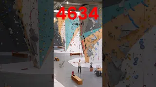 The Biggest Climbing Gym in the World 🌍
