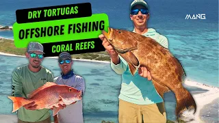 Fishing for Reef Fish in the Dry Tortugas - Florida Offshore Fishing