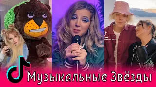 Музыкальные Звёзды в Тик Ток / Аня Pokrov, Егор Шип, Элджей, Бузова, Милохин, Rasa, Нилетто, Дава