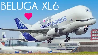 The 6th and Final AIRBUS BELUGA XL6 | First Flight | Toulouse Airbus Factory