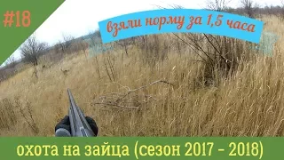 (18+) ВЗЯЛИ НОРМУ ЗА 1,5 ЧАСА...(ОХОТА НА ЗАЙЦА) СЕЗОН 2017 -2018...