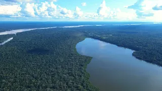 Laguna de limoncocha Sucumbios Ecuador 4k DJI air 2
