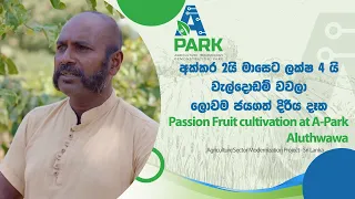 අක්කර 2 වැල්දොඩම් වවලා මාසෙට ලක්ෂ 4 අදායමක් හොයන හැටි-Passion Fruit cultivation at A-Park Aluthwawa
