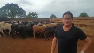 Cantor Leonardo Na Fazenda 3 M, Comprar Mais Bois Na Sua Fazenda. Talismã