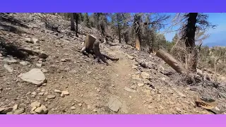 San Bernardino Peak HiKE after the fire